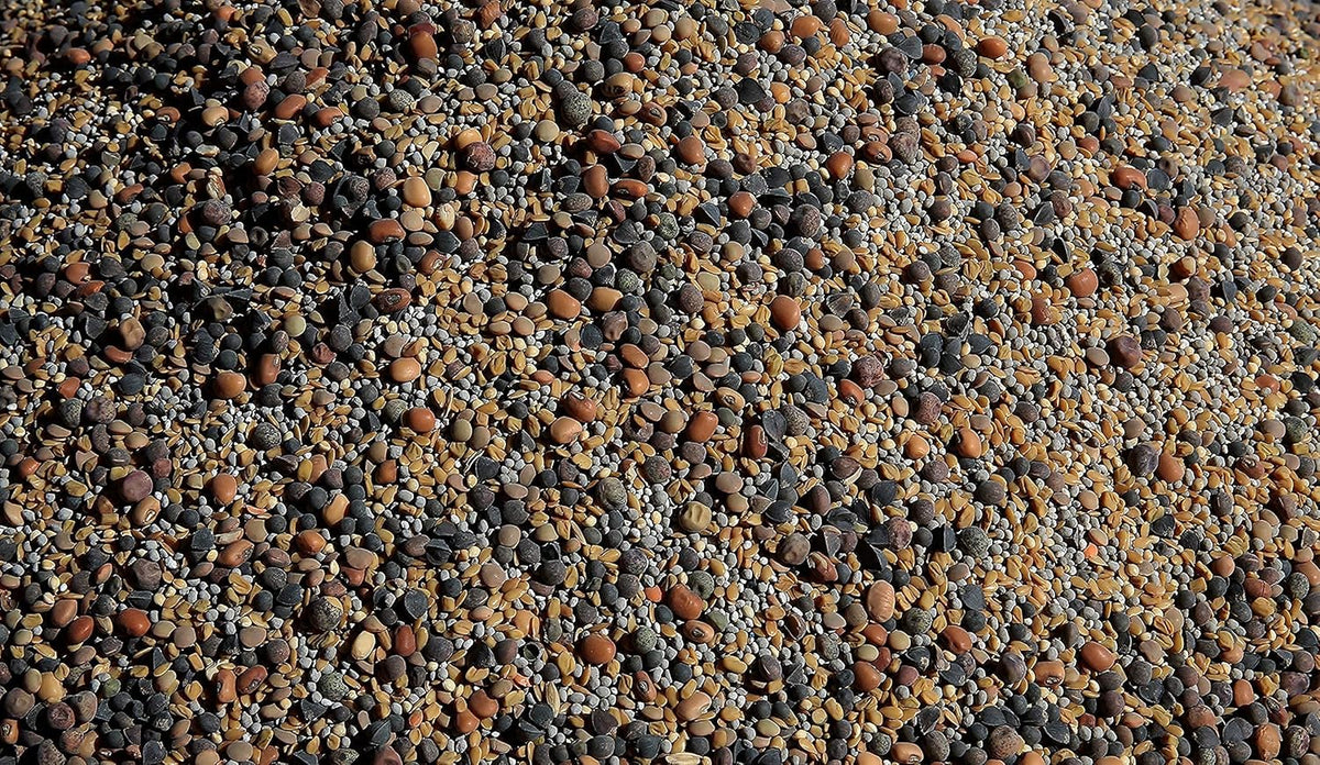 No-Till Cover Crop 13-Seed Mix (½-lb): [50% Clovers Plus Fenugreek, Vetch, Flax, Cowpeas