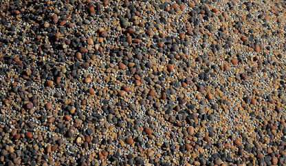 No-Till Cover Crop 13-Seed Mix (½-lb): [50% Clovers Plus Fenugreek, Vetch, Flax, Cowpeas