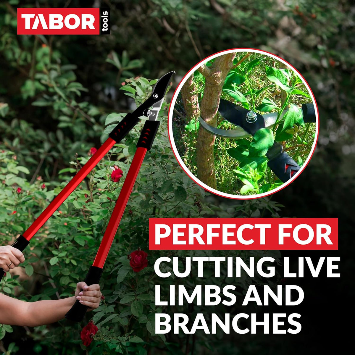 TABOR TOOLS GL16A Bypass Lopper, Chops Branches with Ease, Classic 28 Inch Tree Trimmer, Branch