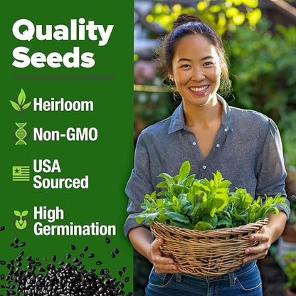 HOME GROWN 𝗨𝗦𝗔 𝗣𝗥𝗘𝗠𝗜𝗨𝗠 Common Mint Seeds (Bulk Pack) 1,800 𝗡𝗢𝗡-𝗚𝗠𝗢 Heirloom Herb
