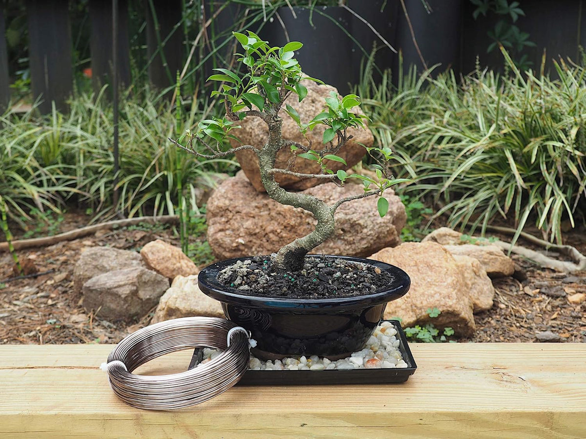Anodized Aluminum 1.5mm Bonsai Training Wire 250g Large Roll (170 feet) - Choose Your Size and