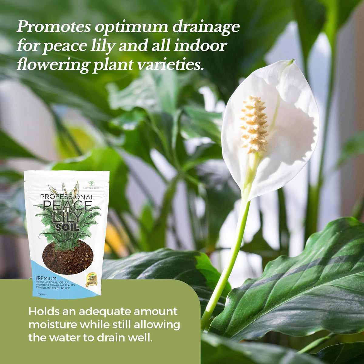 Professional Peace Lily Soil | Large 2.2 Quarts Ready to Use for Peace Lily Plants | Peat Moss