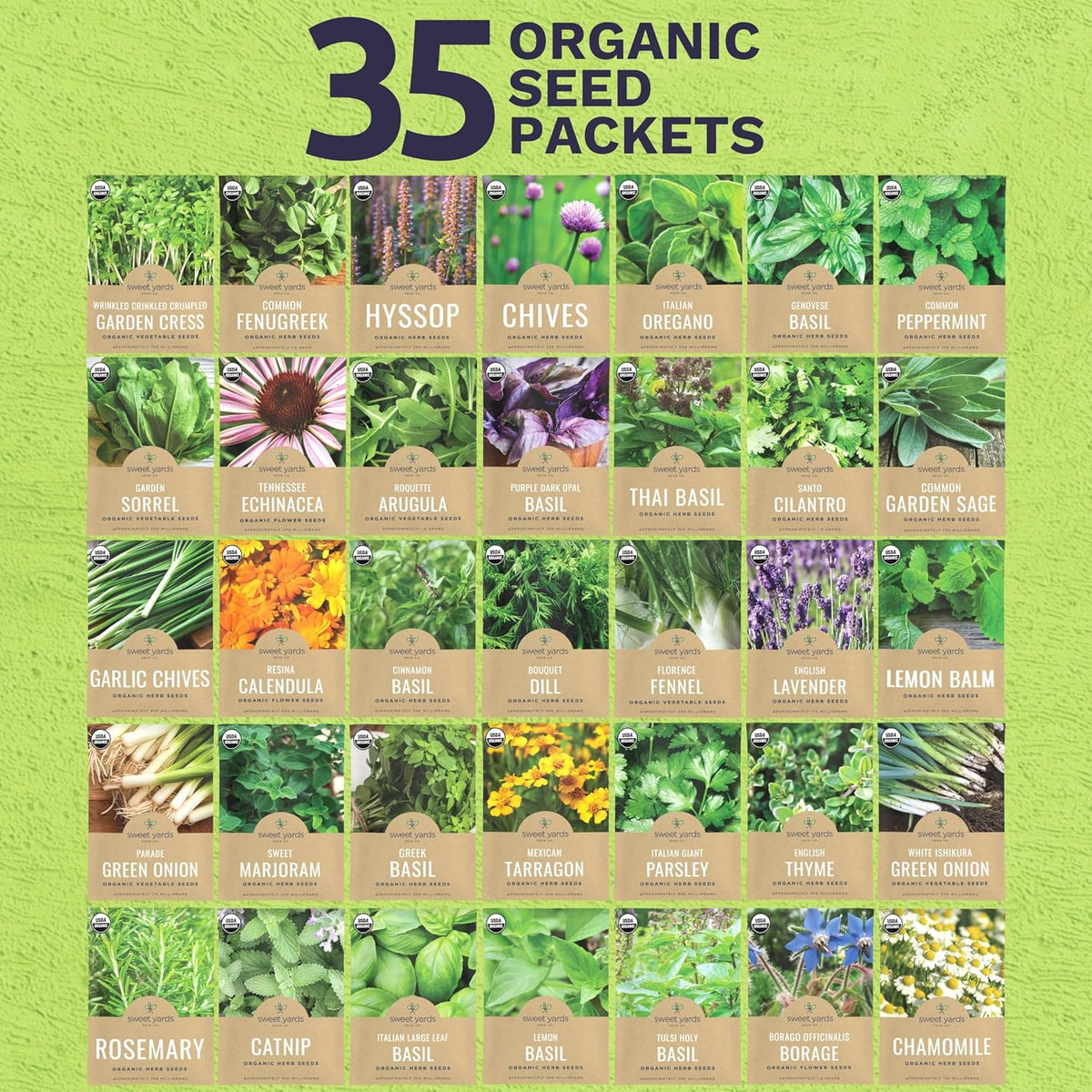 Organic Herb Seeds Variety Pack - 35 Individual Packs - 2025 Season - Basil, Cilantro, Dill, Thyme