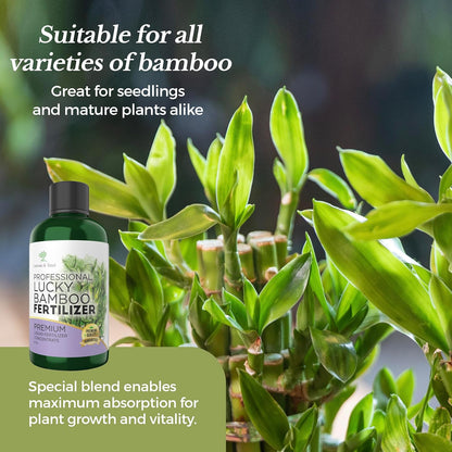 Professional Liquid Lucky Bamboo Fertilizer | 3-1-2 Concentrate for Flowering Plants |