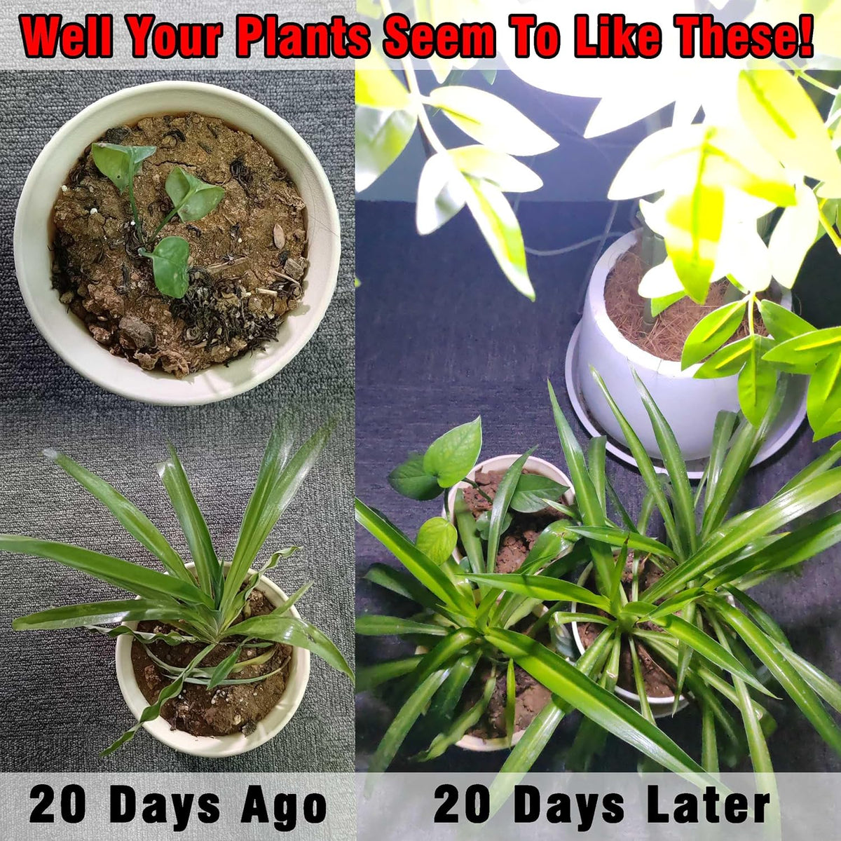 BR30 Grow Light Bulbs 18W 2000lm Full Spectrum Plant Happy Light Bulb 200W Equivalent E26 Base