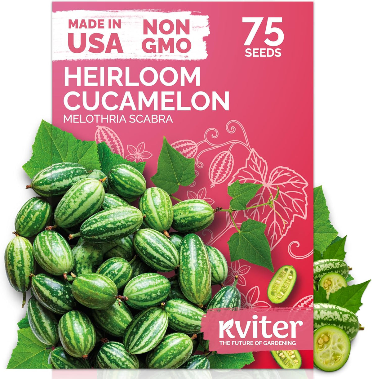 KVITER 75 Cucamelon Seeds for Planting (Melothria Scabra) – Mexican Sour Gherkin Seeds, Gherkin