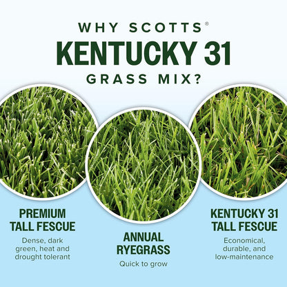 Scotts Kentucky 31 Grass Seed Mix for New Lawns or Overseeding, Grows Thicker and Greener vs. Other