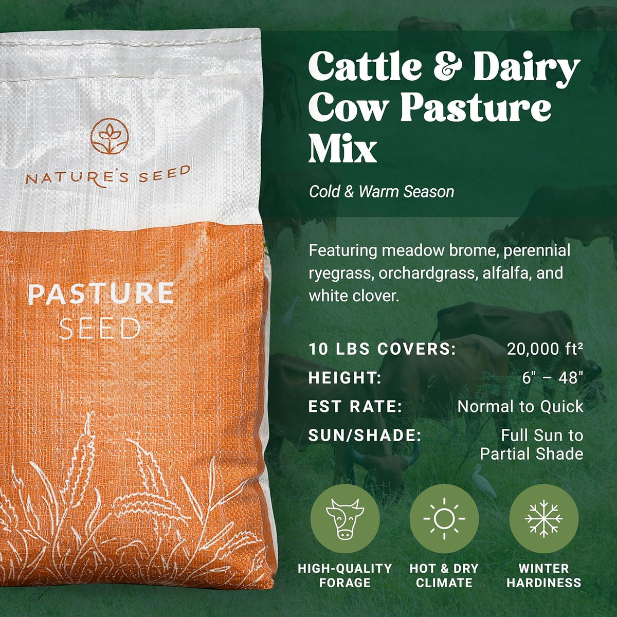 Nature's Seed Northern/Transitional Dairy Cow and Cattle Forage Mix, Pasture Grass Seed Blend