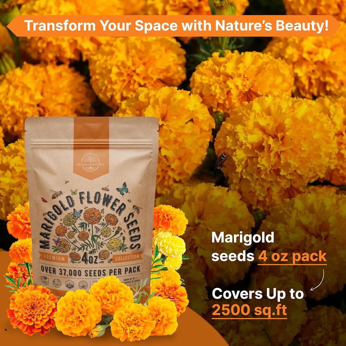 Marigold Seeds Pack 4 oz - Over 37,000 Non-GMO Heirloom Marigold Seeds for Planting Indoor &