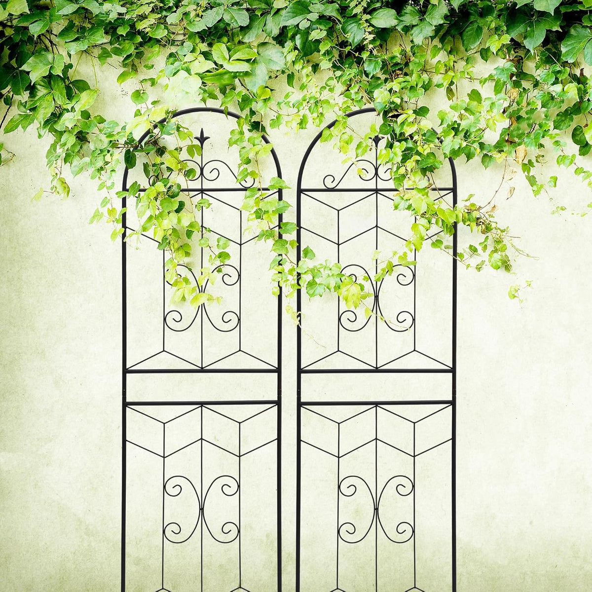 Metal Garden Trellis Rustproof Trellis for Climbing Plants Outdoor Flower Support (Black-4 Pack