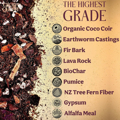Craft Aroid Potting Mix- Elite Organic Alocasia, Philodendron, Monstera Soil Mix, Chunky, Well