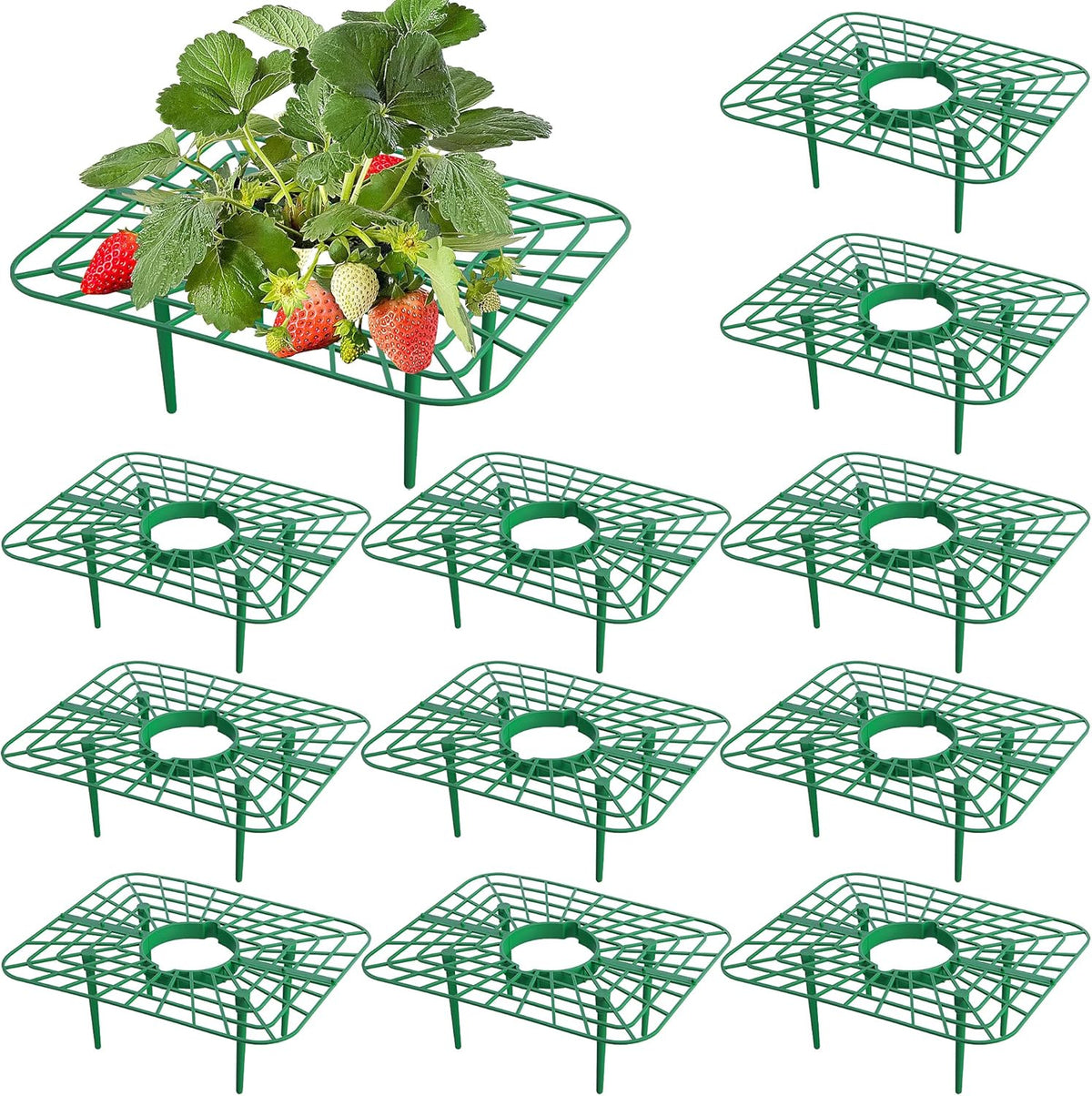 Iceyyyy 12 Packs Square Strawberry Supports-Strawberry Growing Racks- Plant Support Strawberry