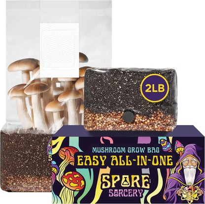 2 LB All-in-One Grow Bag: Up to 16oz of Mushrooms! Nutrient-Enhanced, Injection Port, Just Add Your