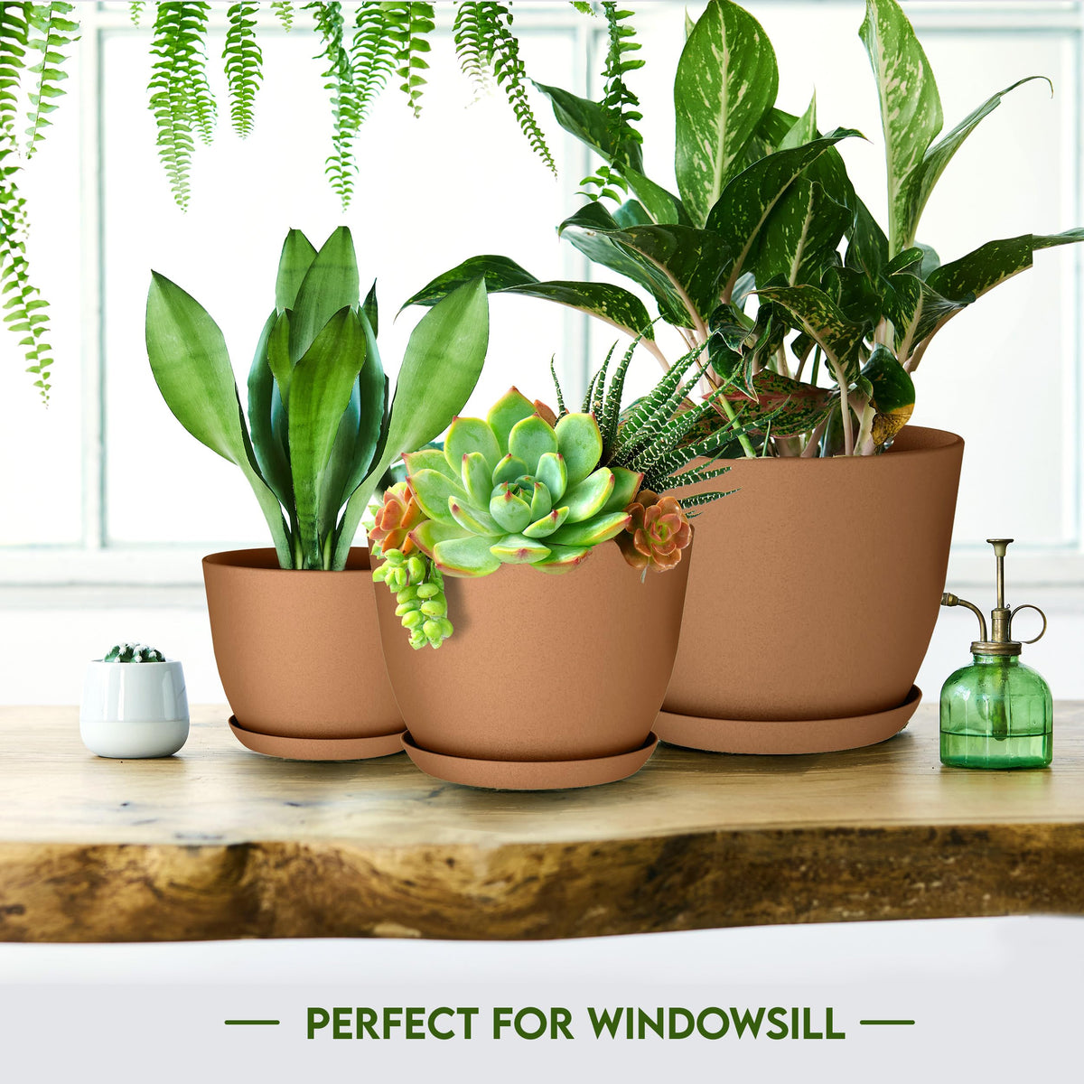 Plant Pots Indoor with Drainage, 5 Pack Multi-Size Planters Set, Terracotta