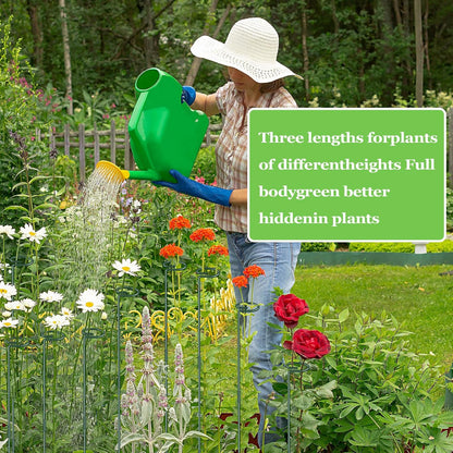 36 Inch Plant Stakes Tall, Three Sizes(12 or 24 or 36 Inch) Plant Support Stakes for Outdoor or