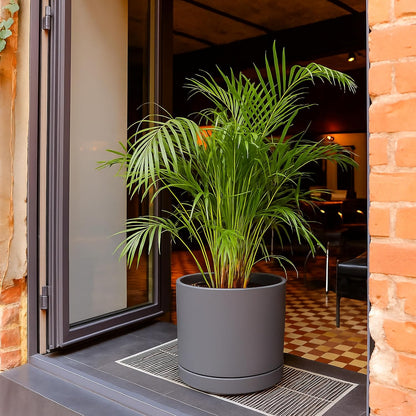 D'vine Dev 14 Inch Ceramic Planter Pot with Drainage Hole and Saucer, Indoor Cylinder Round Planter