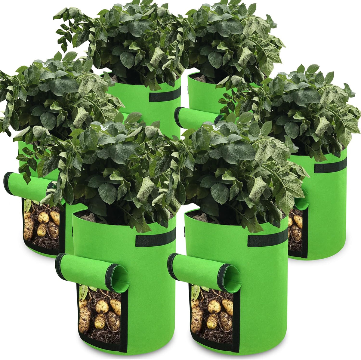 Gardzen 6 Pack BPA-Free 10 Gallon Vegetable Grow Bags with Access Flap and Handles, Suitable for