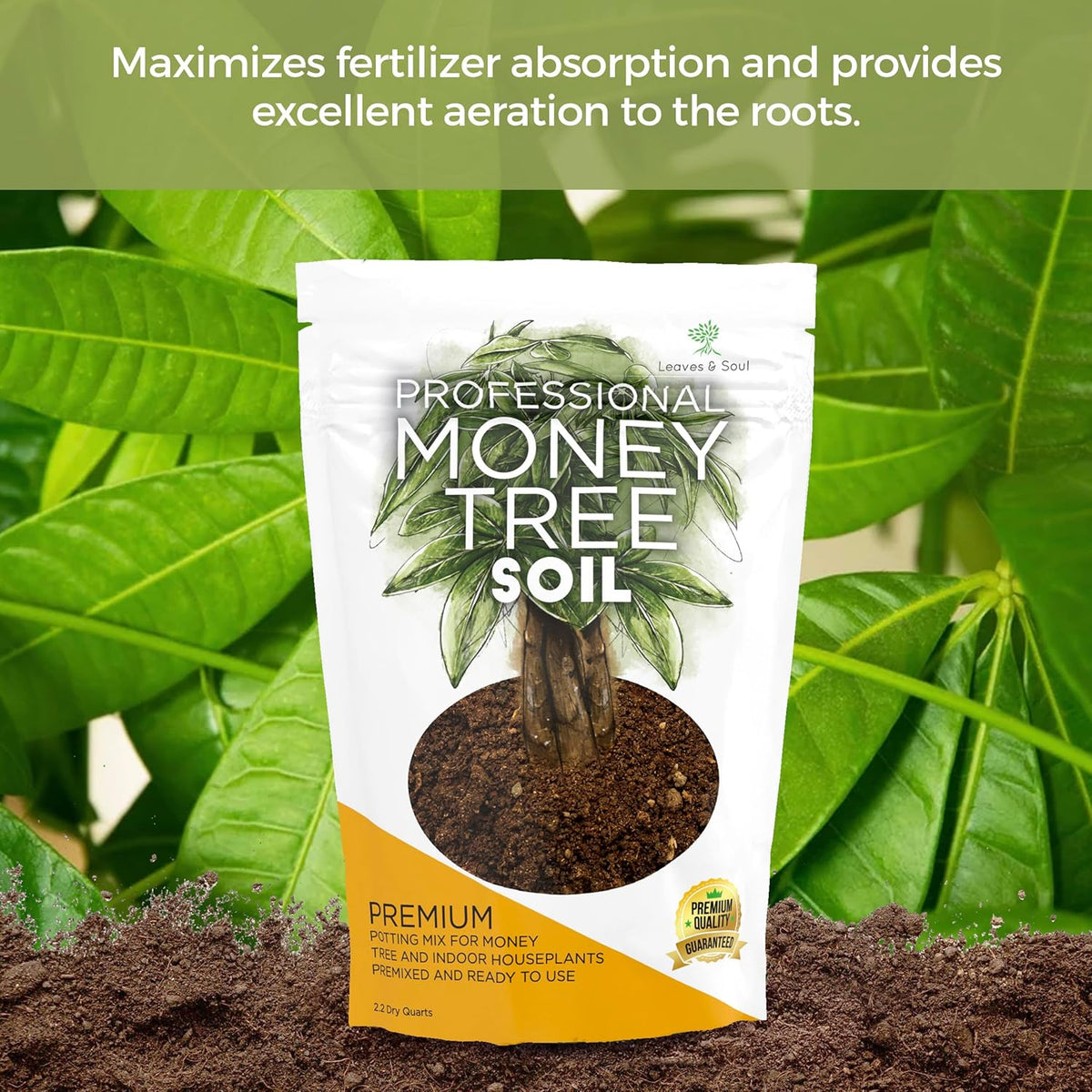 Professional Money Tree Soil | Large 2.2 Quarts Ready to Use for Money Tree Plants | Peat Moss