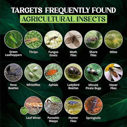 Catchmaster Dual Action Plant Labels 100 PK, Sticky Insect Trap Plant Stakes, for Live Plants