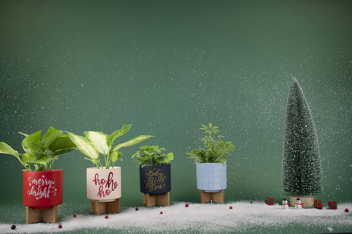 Ceramic Holiday Planter Pot, Merry & Bright Design, Red & White, Holds 4" House Plant or Succulent