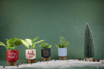 Ceramic Holiday Planter Pot, Merry & Bright Design, Red & White, Holds 4" House Plant or Succulent