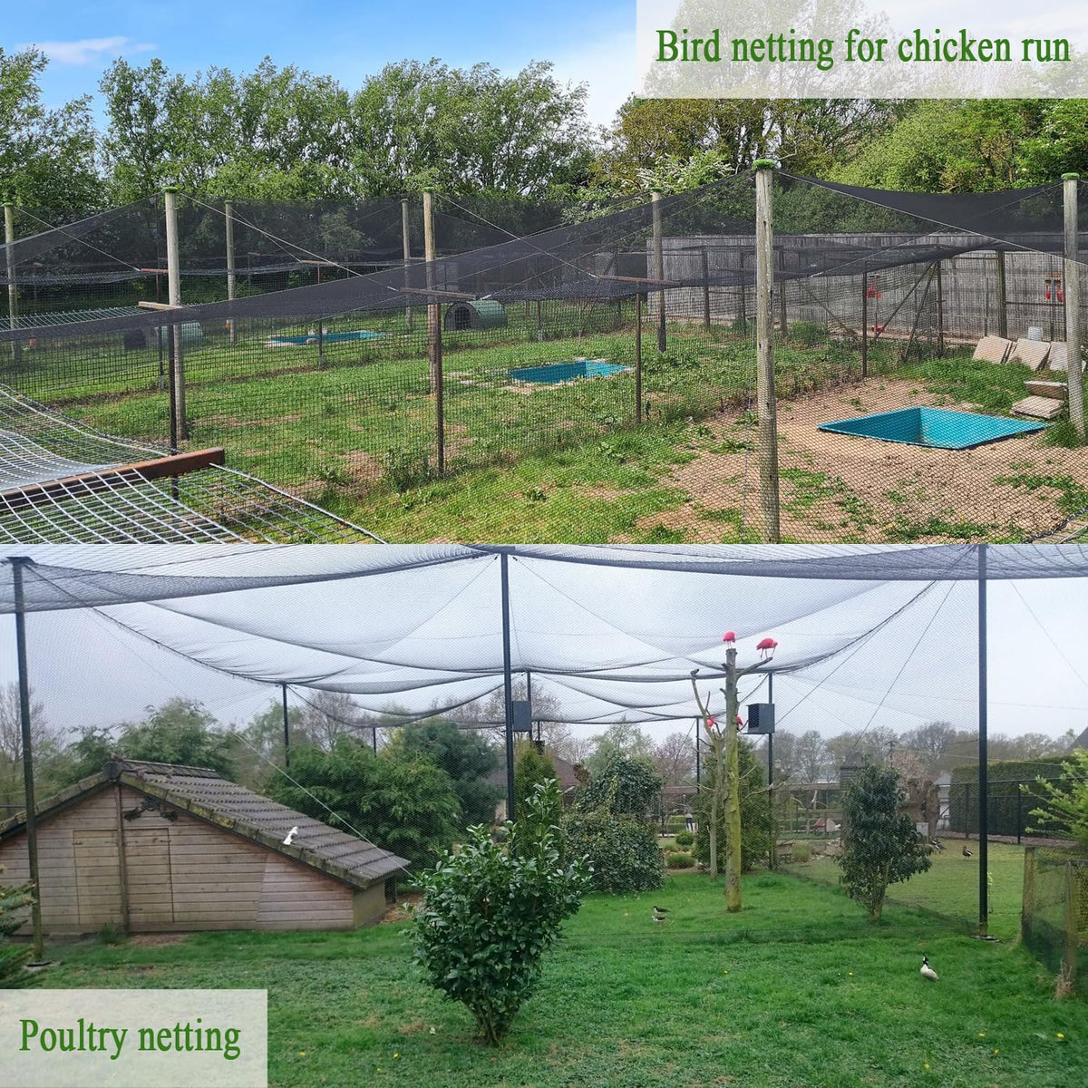 Bird Netting for Chicken Coop 25x100 Ft, 1" Mesh, Strong Woven Poultry Netting Roof Cover for