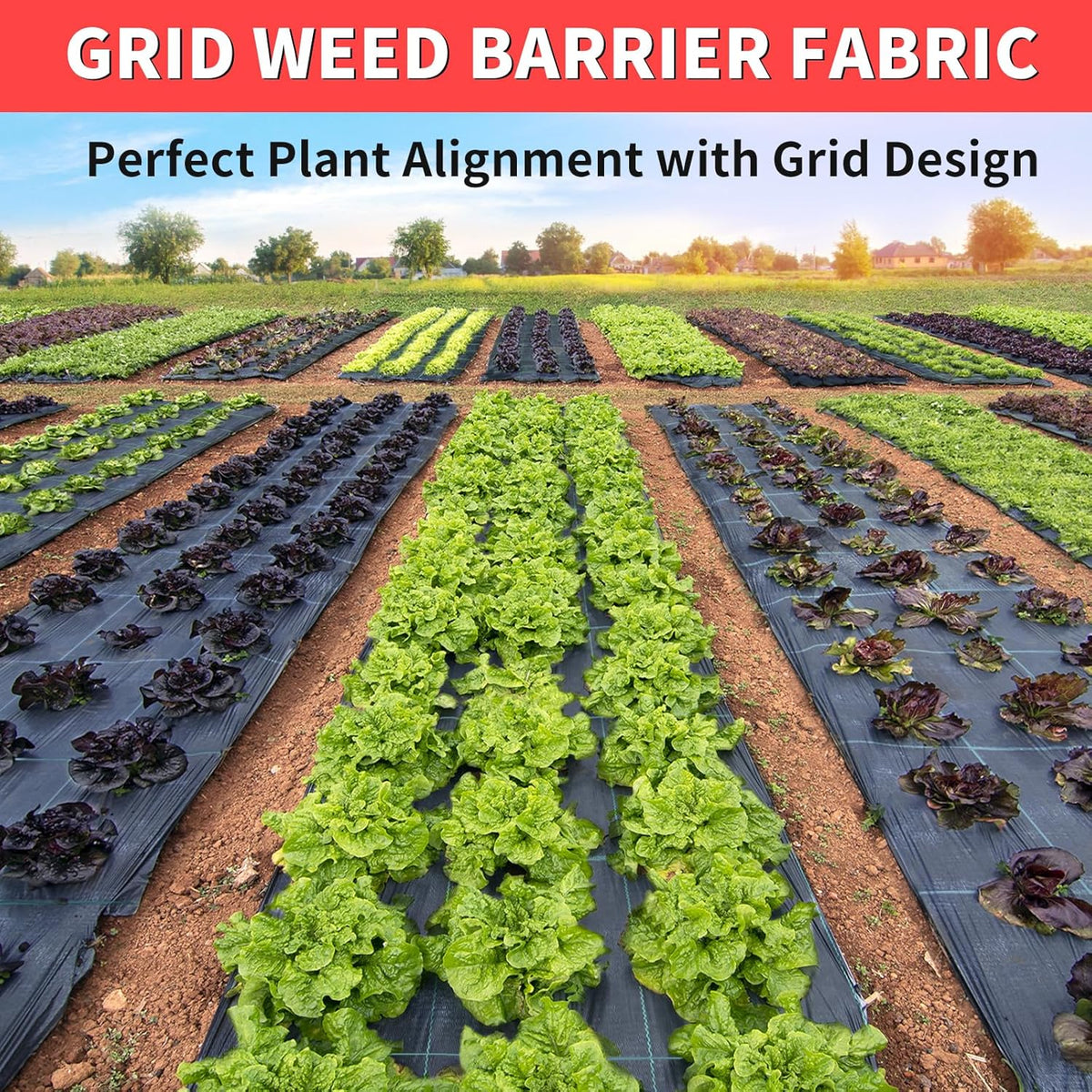 3ft x 300ft Landscape Fabric -Heavy Duty Weed Barrier Fabric for Landscaping, Weed Blocker