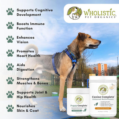 Wholistic Pet Organics Canine Complete - Dog Multivitamin Powder - 2 Lb - Daily Dog Vitamins and