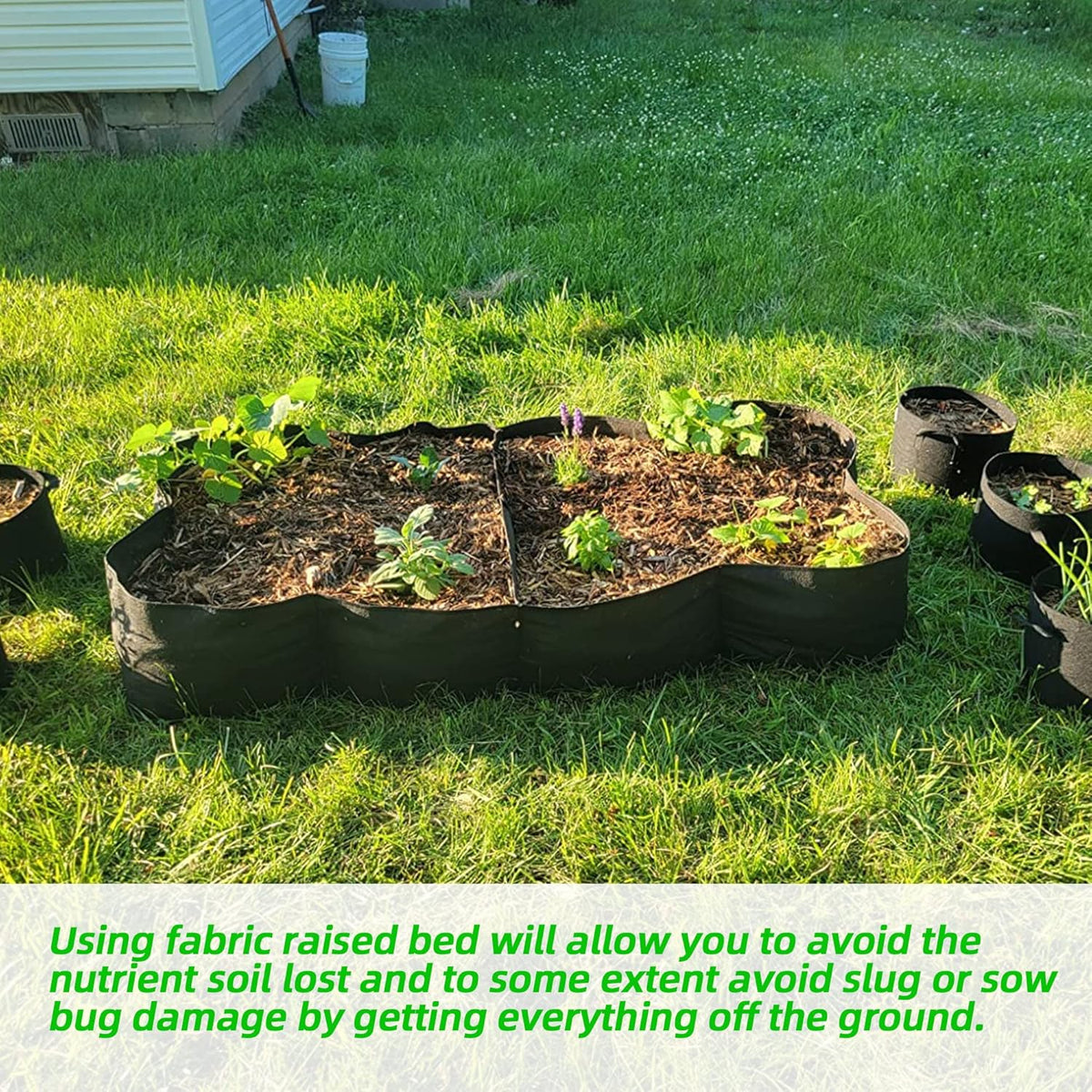 CJGQ 2 Pack Fabric Raised Garden Bed 6x3x1ft Garden Grow Bed Bags for Growing Herbs, Flowers and