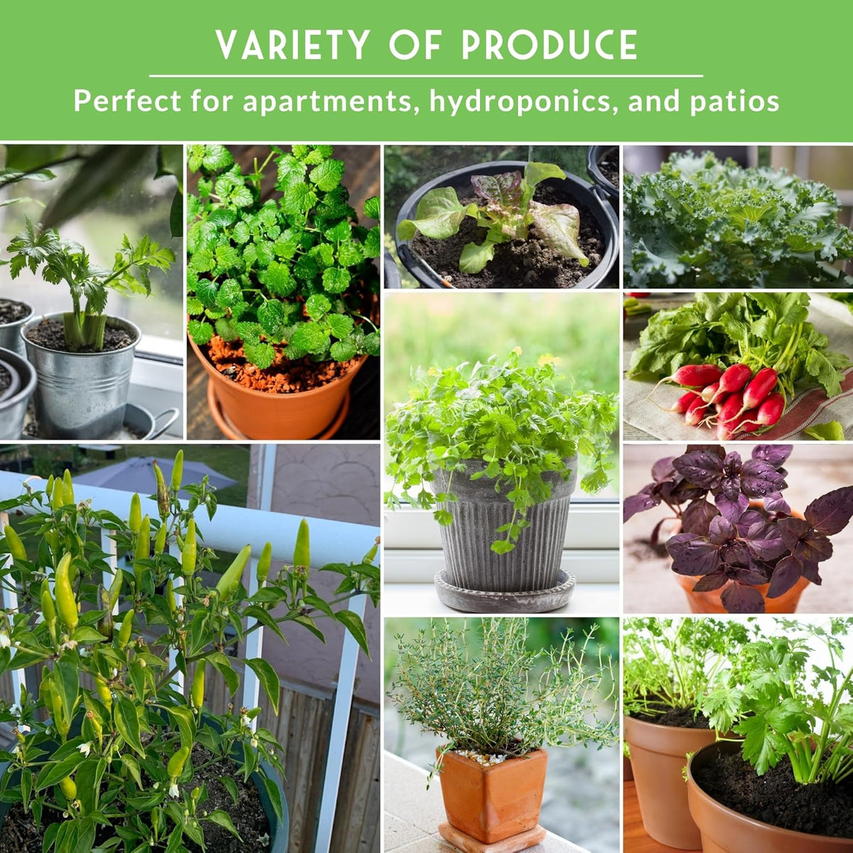 Indoor Garden Vegetables Hydroponic Apartment Garden - Non-GMO Heirloom Vegetable Varieties for
