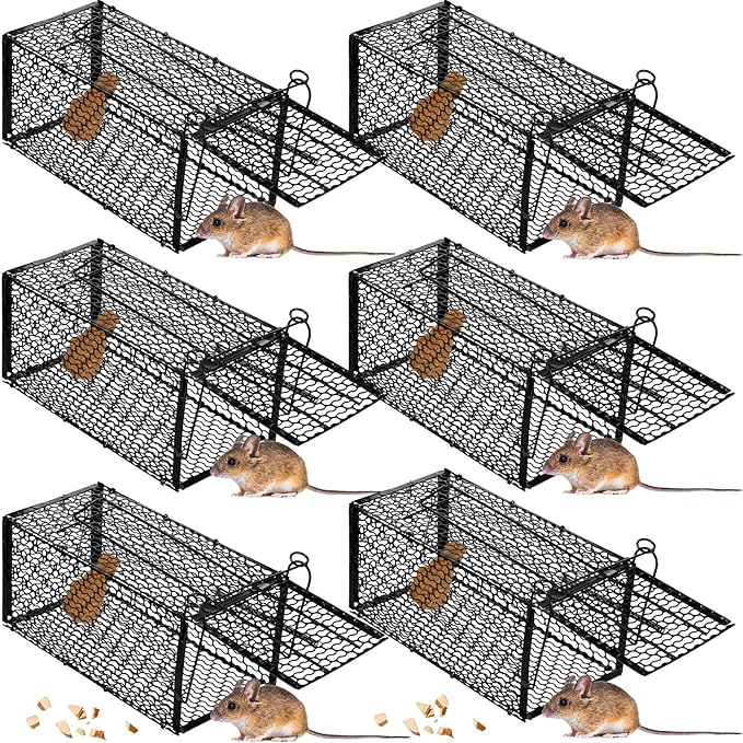 Qualirey 6 Pcs Humane Rat Trap Small Chipmunk Mouse Squirrel Cage Rodent Animal Mice Voles Hamsters