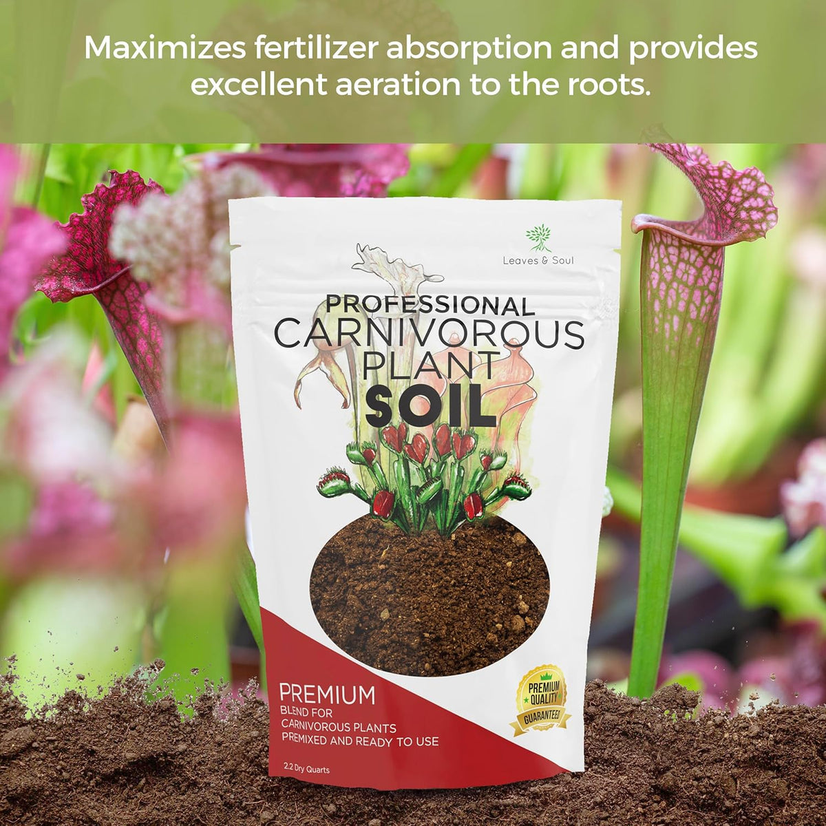 Professional Carnivorous Plant Soil | Large 2.2 Quarts Ready to Use for Venus Flytraps, Sundews