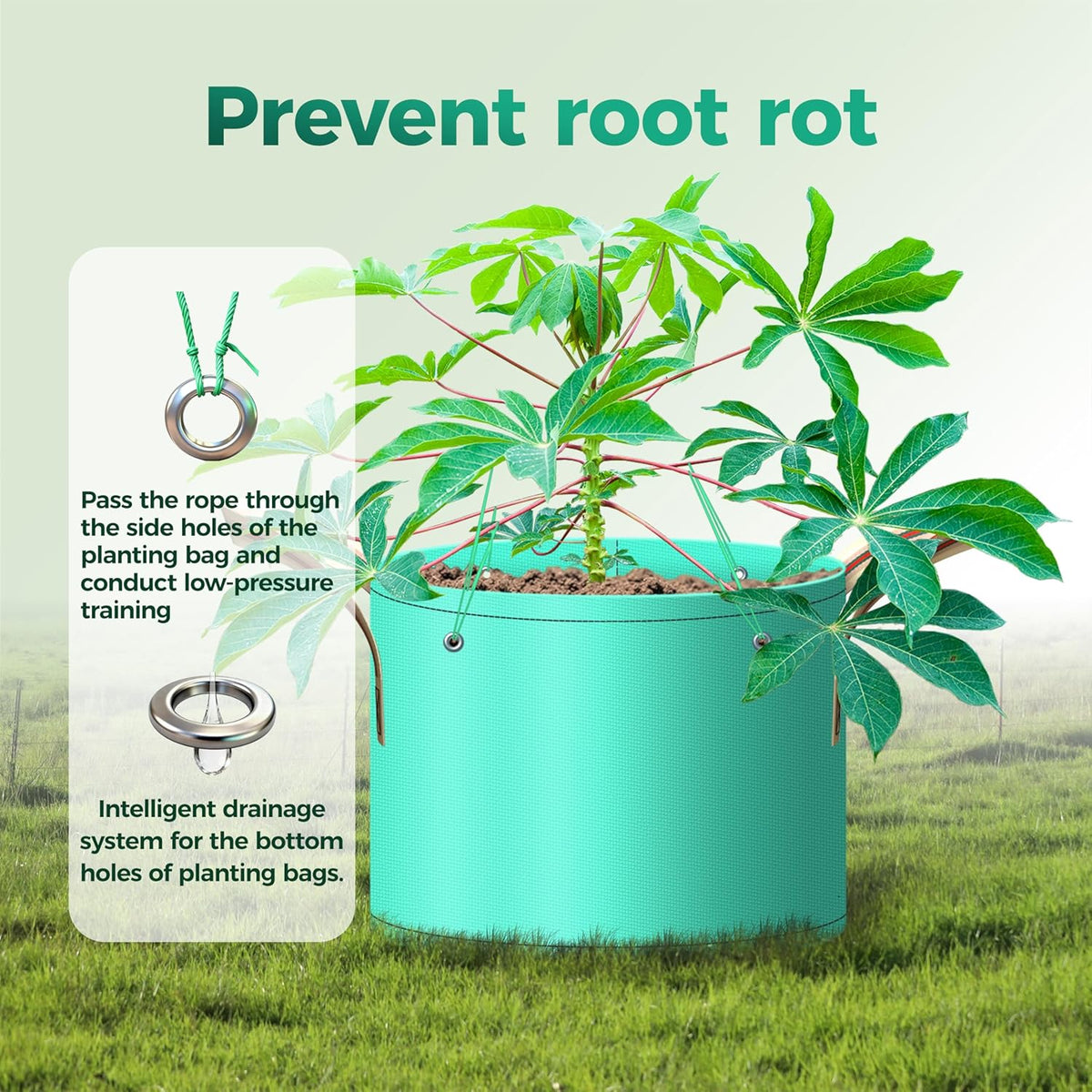 7 Pcs 5 Gallon Potato Grow Bag, PE Garden pots Plant Grow Bag with Branch-Binding Holes and Drain