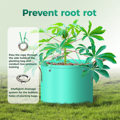 7 Pcs 5 Gallon Potato Grow Bag, PE Garden pots Plant Grow Bag with Branch-Binding Holes and Drain