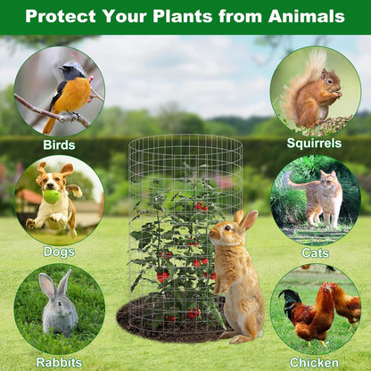 winemana 12 Set Garden Plant Protector Cage, 16x12 in Metal Wire Protectors for Plants, Protection
