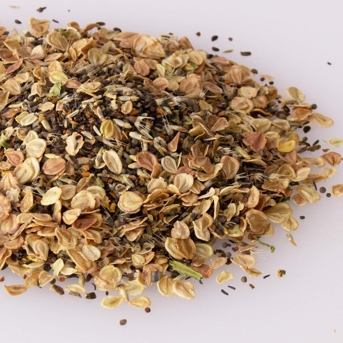Wildflower Seeds - Rocky Mountain Mix, 2 oz (80,000+ Seeds) – 18 Non-GMO Varieties – Bulk