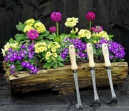 DeWit Daisy Grubber – Bio Weed Remover for Dandelions & Tough Weeds – Hardened Boron Steel with Ash
