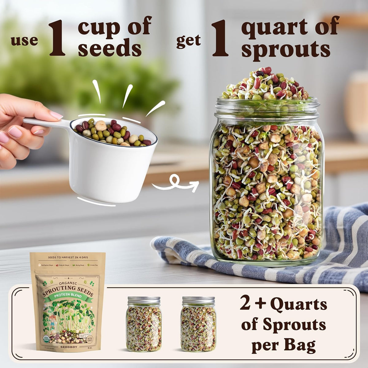 Seedboy Organic Non-GMO Sprouting Seeds, Superfood & Protein Blend – 2 Pack Bundle – USA Grown