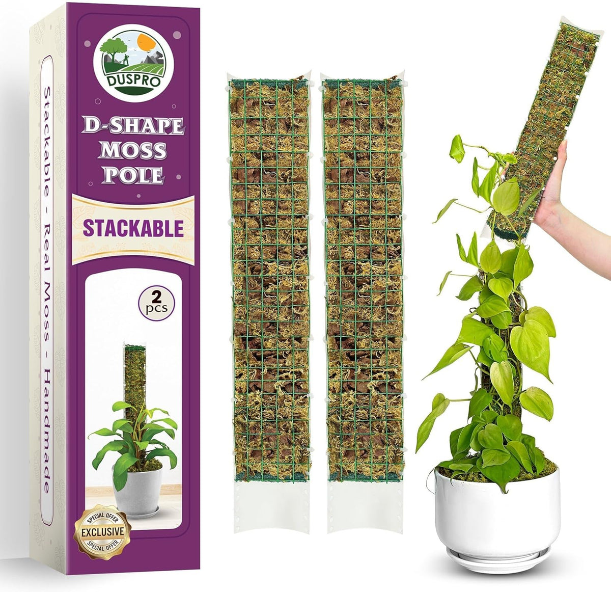 DUSPRO D-Shaped Plastic Moss Poles for Climbing Plants Monstera Stackable Moss Pole for Plants Moss