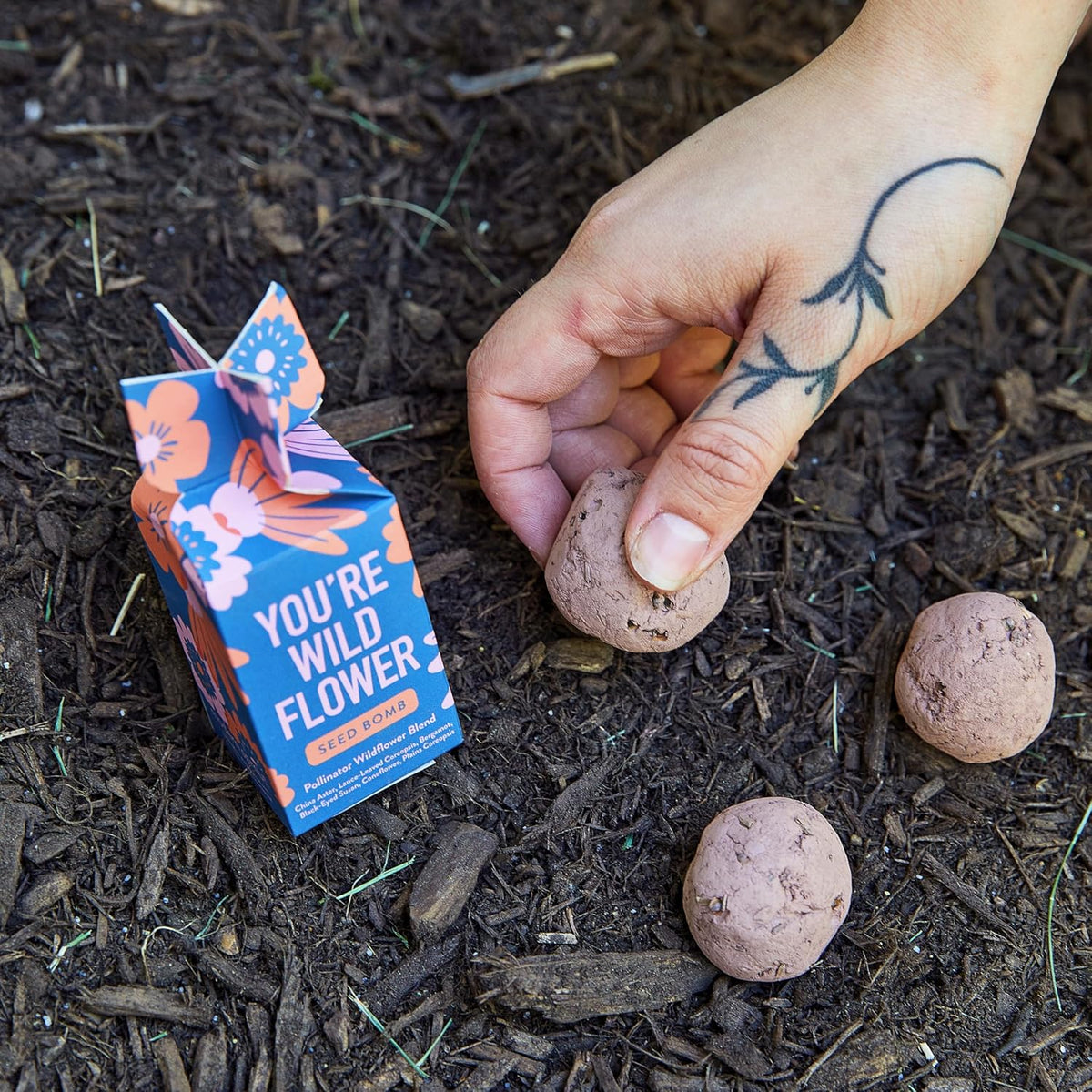 Modern Sprout Seed Bombs - Organic Wildflower & Herbs Seeds for Indoor/Outdoor Gardening - Party