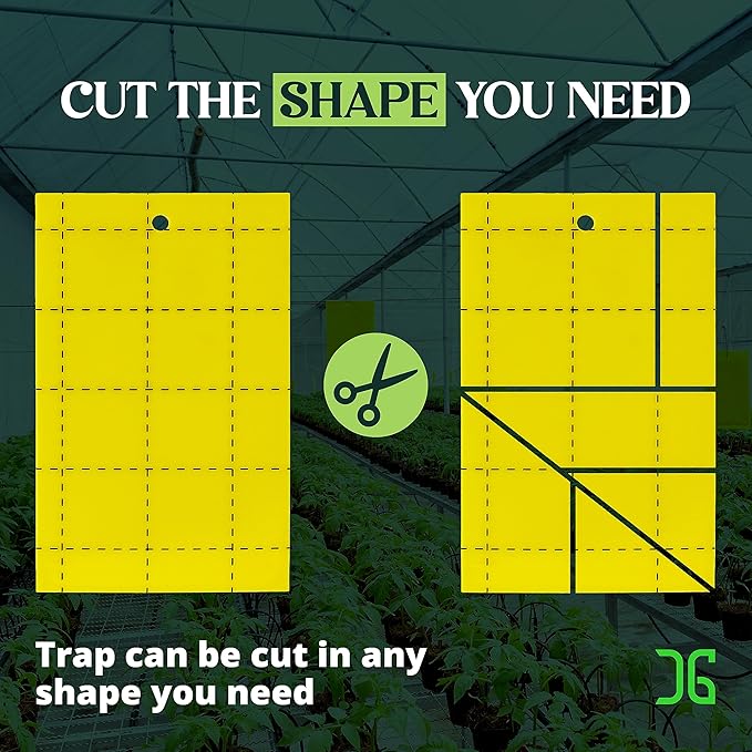 Catchmaster GRO Yellow Regular Double Sided Sticky Traps 72PK, Adhesive Bug & Fruit Fly Trap, Pest