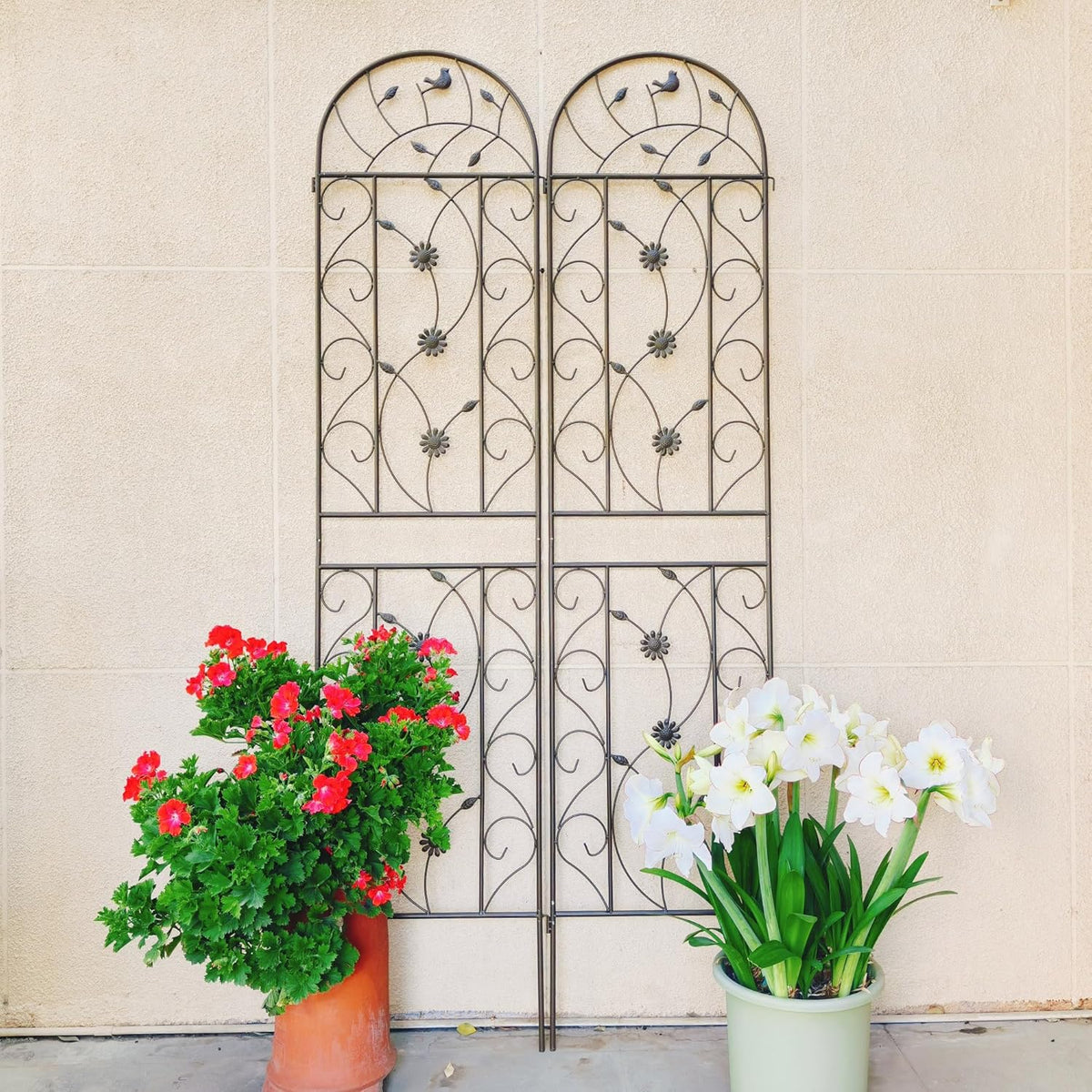 Garden Trellises, 2 Pack Brown Metal Coated Rustproof Trellis for Climbing Plants Outdoor, Roses