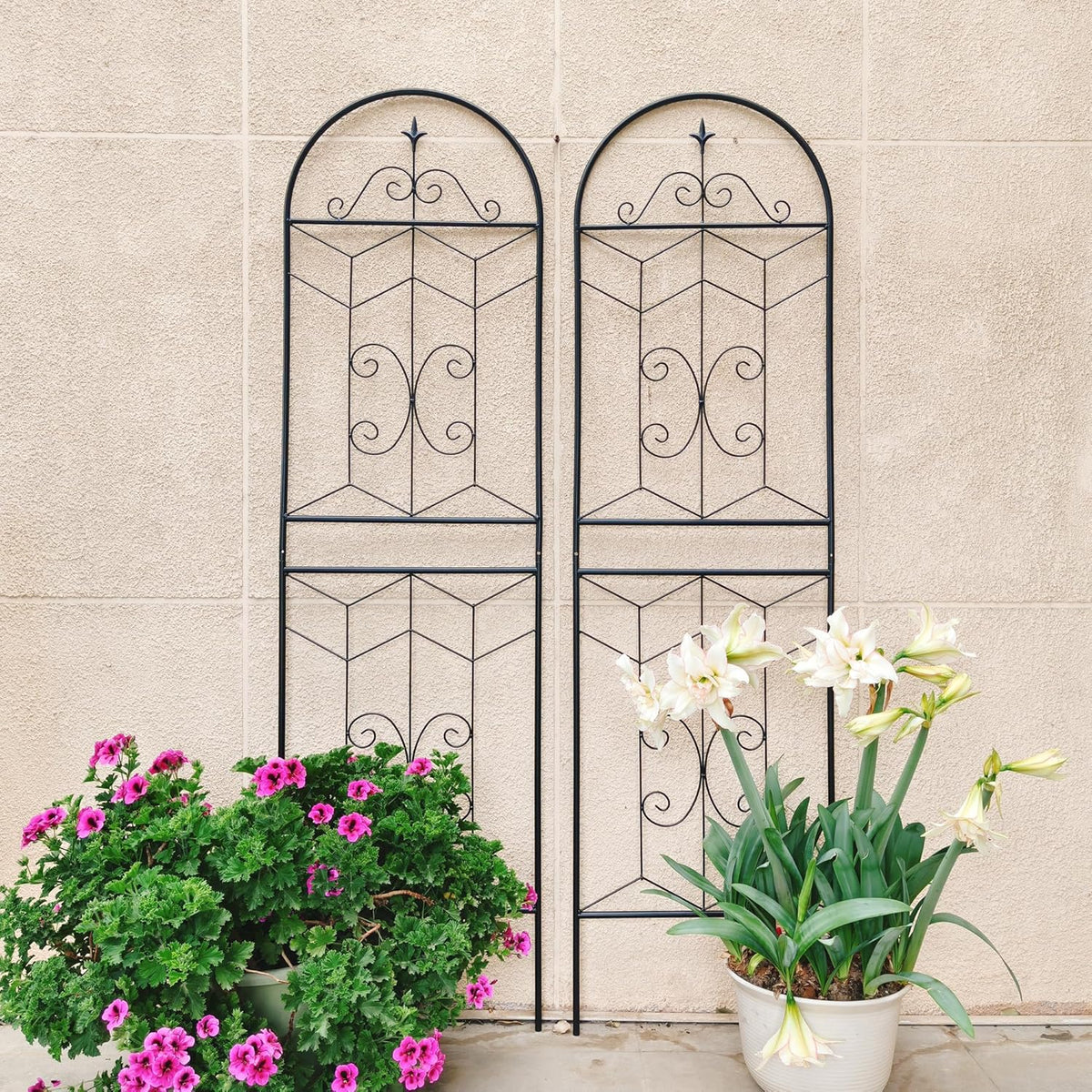 2 Pack 71x20in Garden Trellises with Black Metal Coating, Trellis for Climbing Plants Outdoor