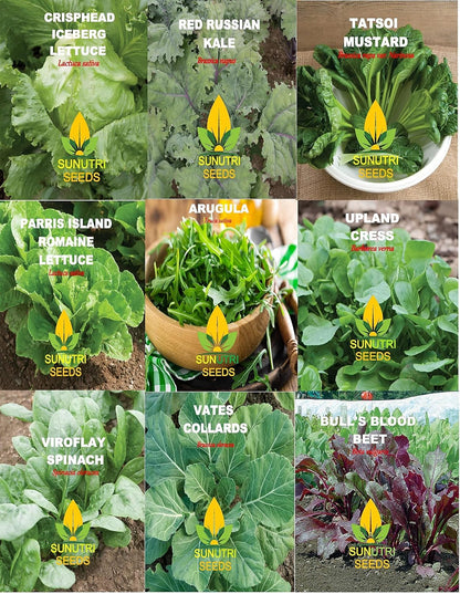 Greens Seeds Collection, 2500+ Seeds, 9 Heirloom Varieties, Arugula, Beet, Upland Cress, Vates