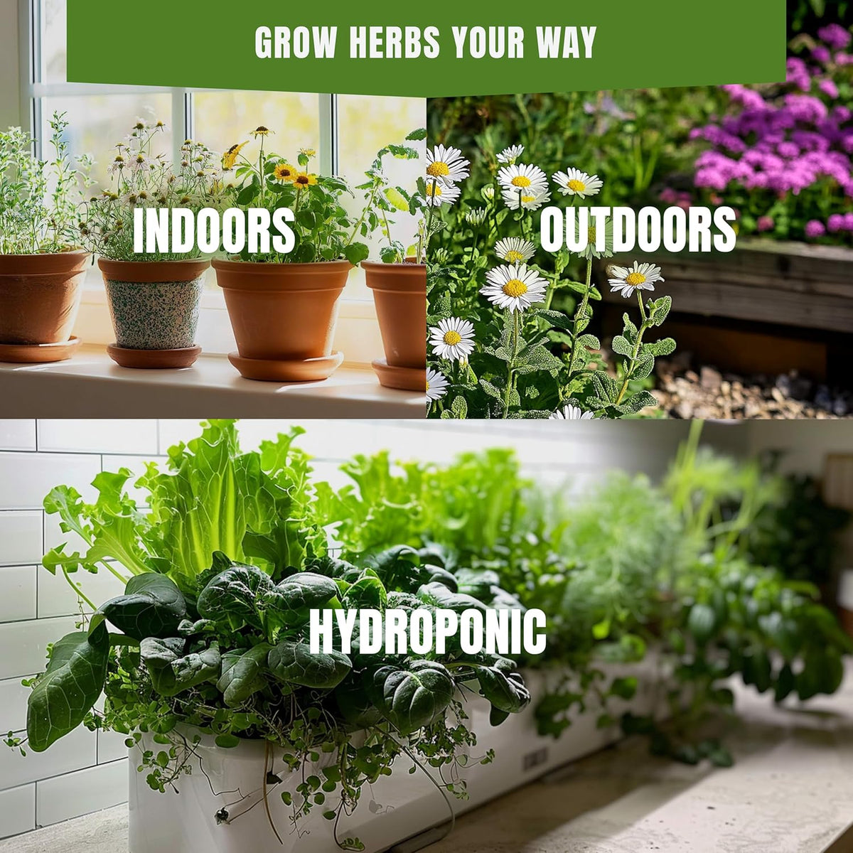 15 Medicinal & Herbal Tea Seeds Variety Pack Home Garden Kit Plant Markers 2950+ Non-GMO Heirloom