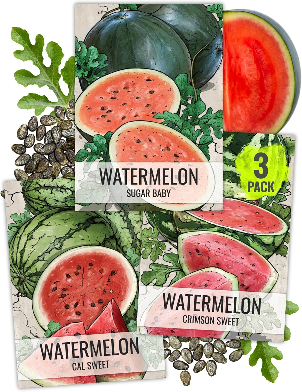 Seed Needs Watermelon Seeds for Planting Fruits - Non-GMO Heirloom & Untreated Water Melon Seed to