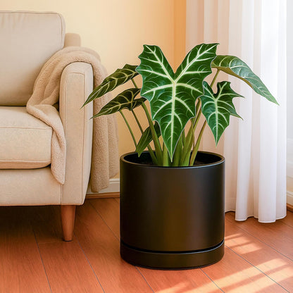 D'vine Dev 10 Inch Ceramic Planter Pot with Drainage Hole and Saucer, Indoor Cylinder Round Planter