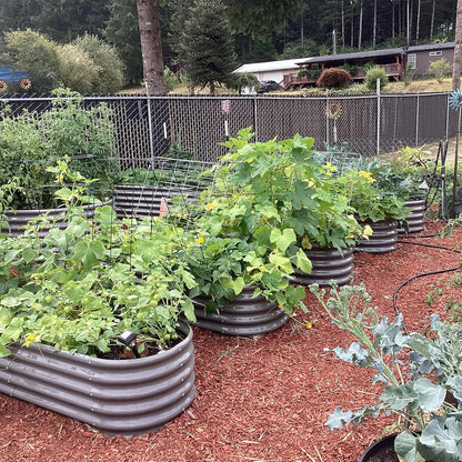 A ANLEOLIFE 4-Pack 6X3X1.5ft & 6X2X1.5ft Deep Root Galvanized Raised Garden Beds Outdoor for