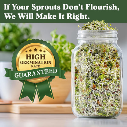Seedboy Organic Non-GMO Sprouting Seeds, Superfood Blend - USA Grown Microgreens Mix with Broccoli