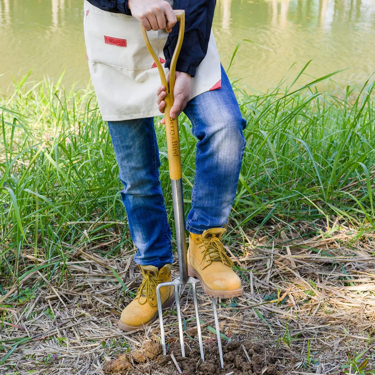 Berry&Bird Gardening Digging Fork, 4-Tine Stainless Steel Pitchfork, 43.9" Heavy Duty Spading Fork